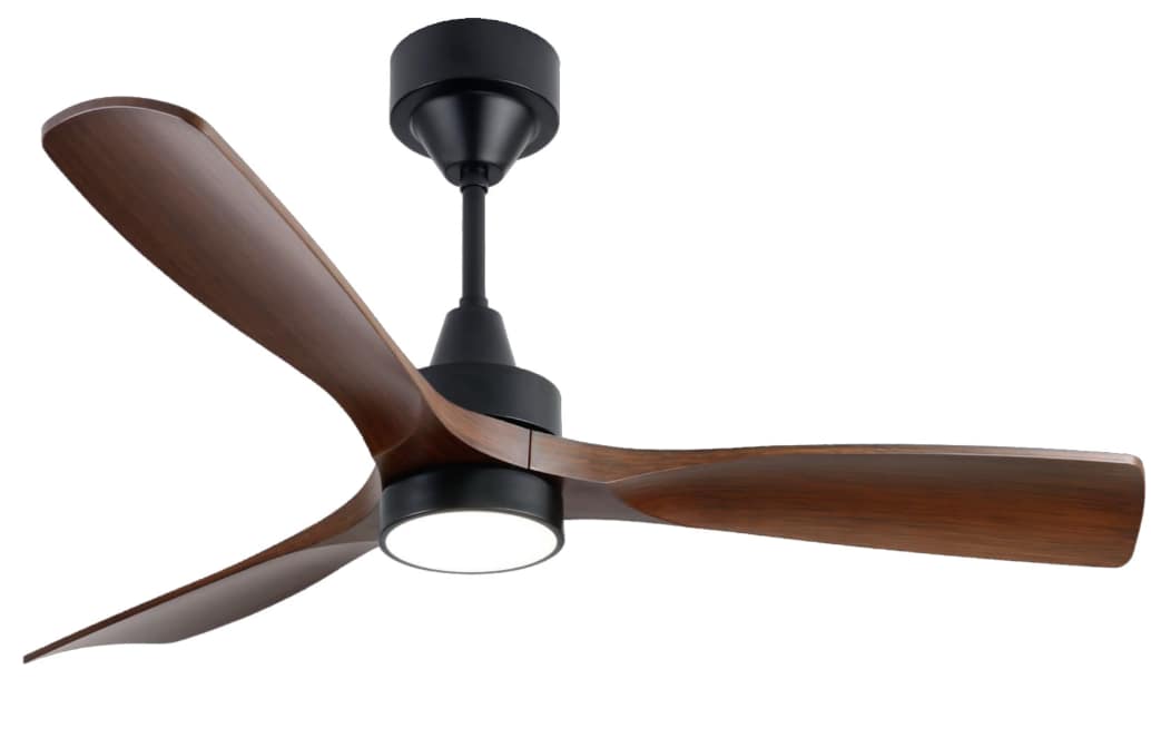 BLDC Ceiling Fan Kumbuk with Light (Black)-Polycrome Viera