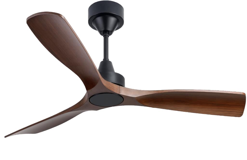 BLDC Ceiling Fan Kumbuk without Light (Black)-Polycrome Viera